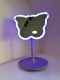 LED vanity mirror