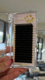 $2 Lash Trays *Final Sale